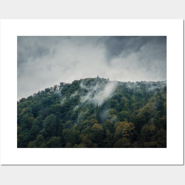 forest on the misty hill Wall Art by psychoshadow